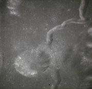 Hadley-Rille (Apollo 15, NASA)